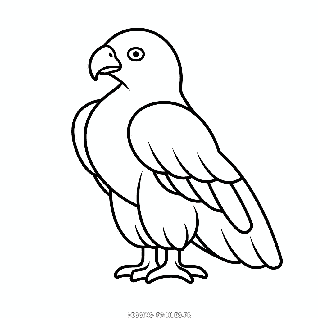 Dessin facile aigle