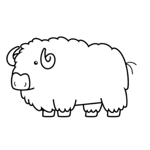 Dessin facile bœuf musqué