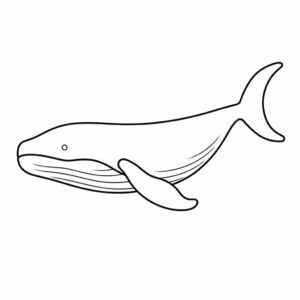Dessin facile baleine à bosse