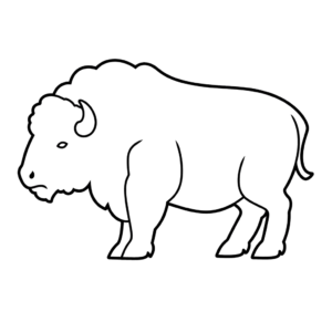 Dessin facile bison