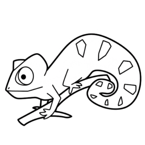 Dessin facile caméléon