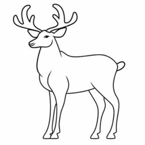 Dessin facile caribou