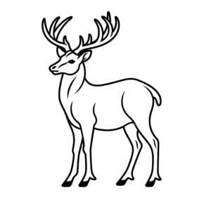 Dessin facile cerf rouge