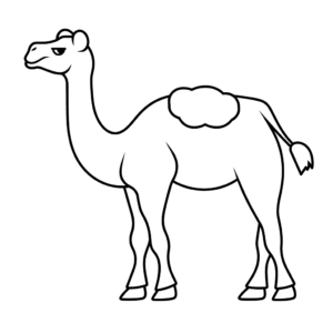 Dessin facile chameau