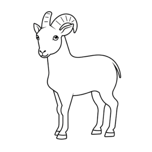 Dessin facile chèvre