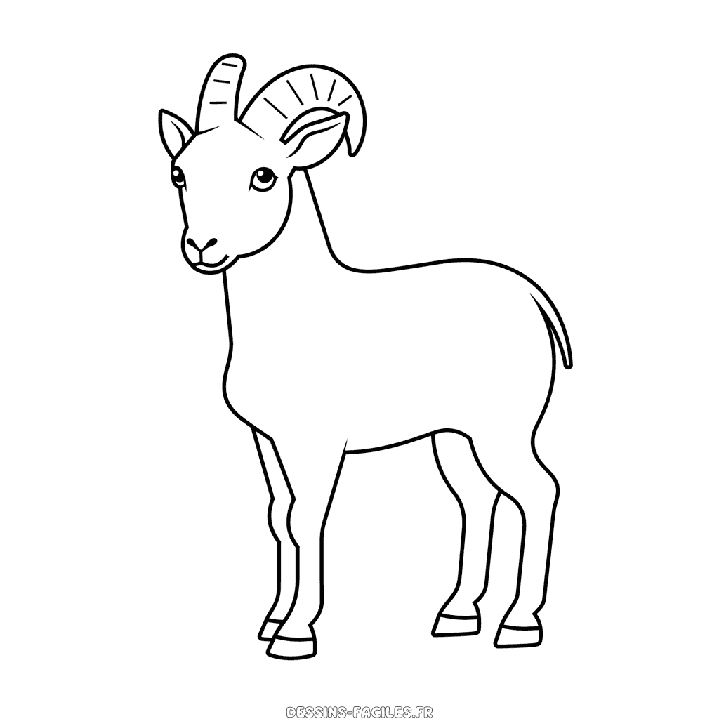 Dessin facile chèvre