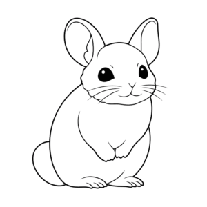 Dessin facile chinchilla