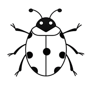 Dessin facile coccinelle