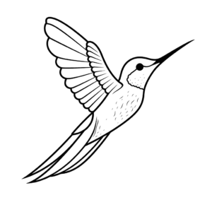 Dessin facile colibri