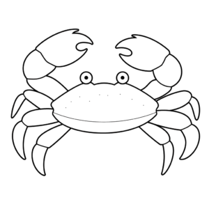 Dessin facile crabe