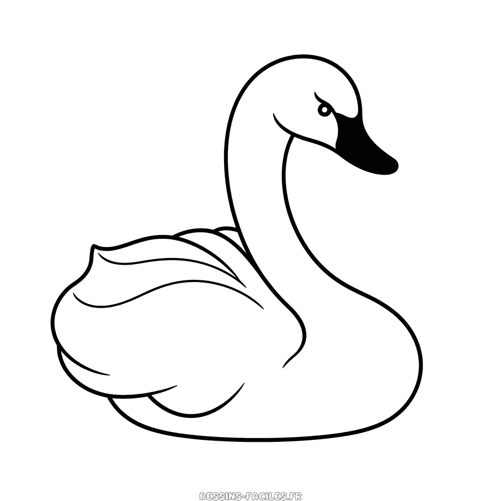Dessin facile cygne