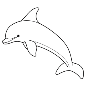 Dessin facile dauphin