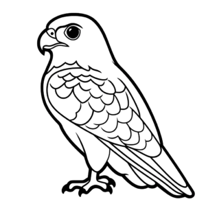 Dessin facile faucon
