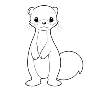 Dessin facile furet