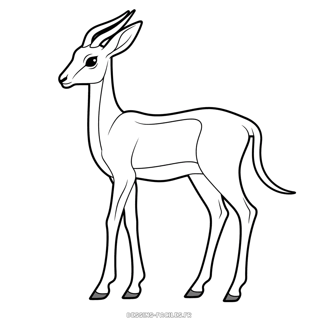 Dessin facile gazelle