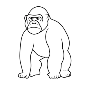 Dessin facile gorille