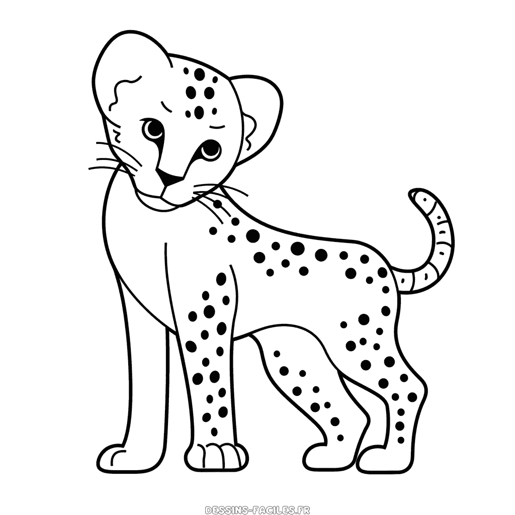 Dessin facile guépard