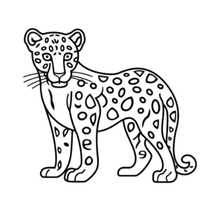 Dessin facile jaguar