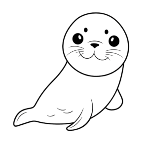 Dessin facile Phoque
