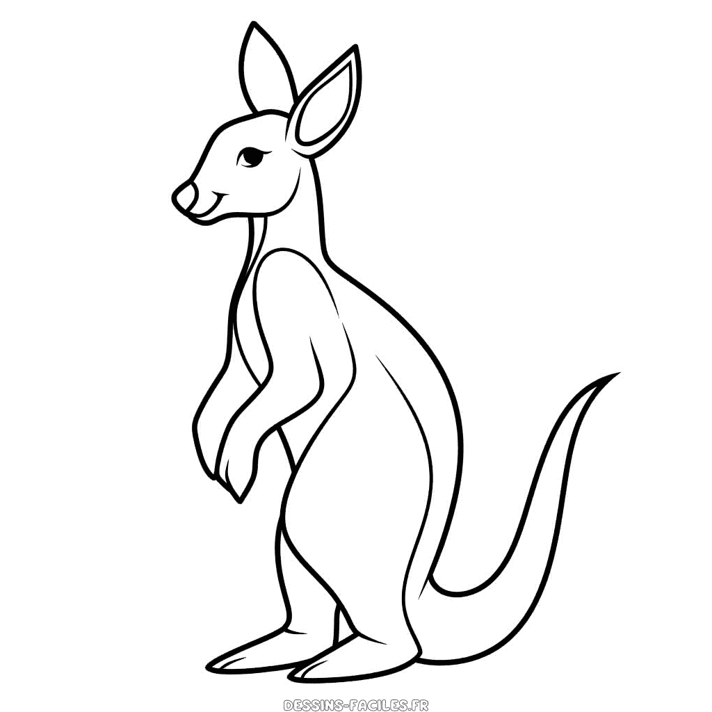 Dessin facile kangourou
