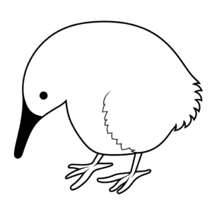 Dessin facile kiwi oiseau
