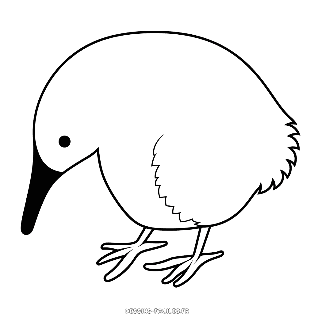 Dessin facile kiwi oiseau