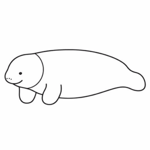Dessin facile lamantin