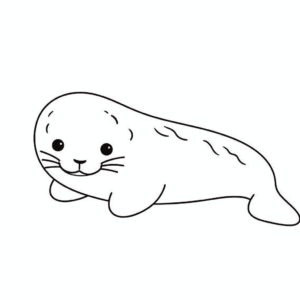 Dessin facile léopard de mer