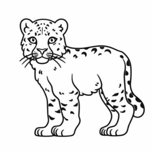Dessin facile léopard des neiges