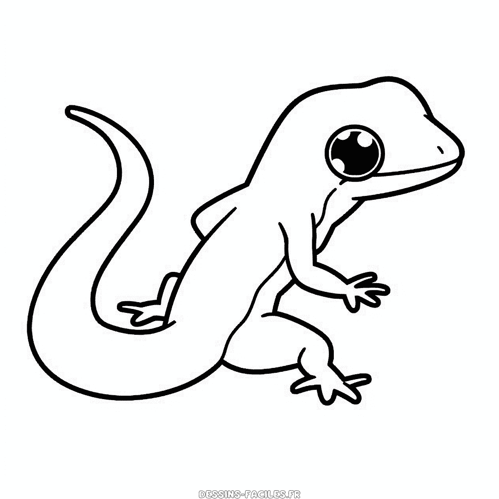 Dessin facile lézard