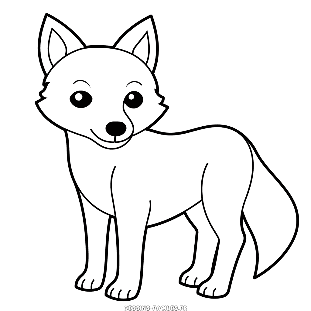 Dessin facile loup gris