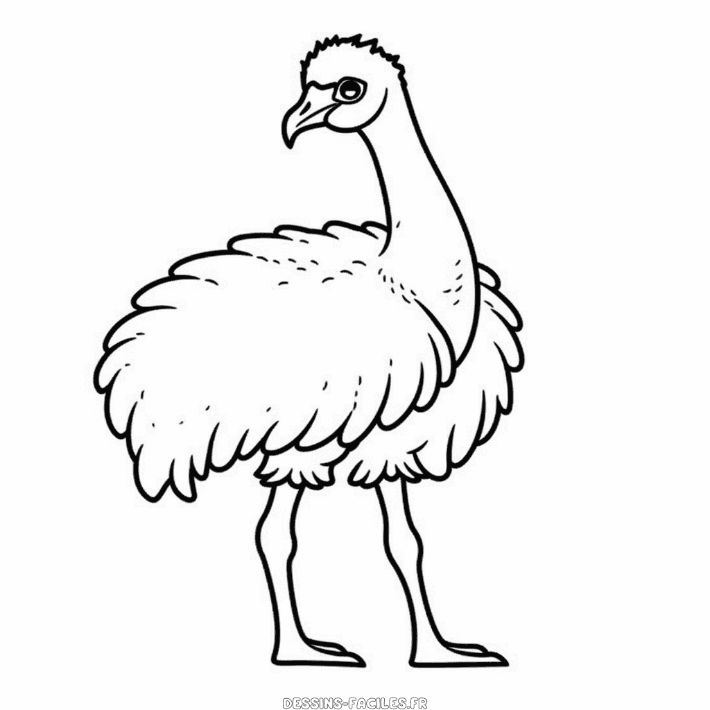 Dessin facile émeu