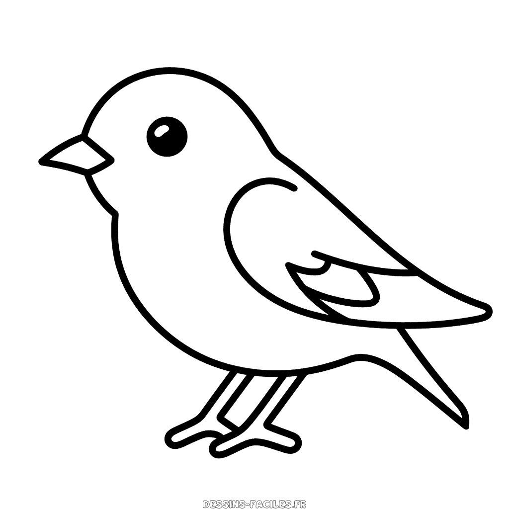 Dessin facile moineau