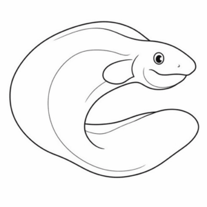 Dessin facile murène