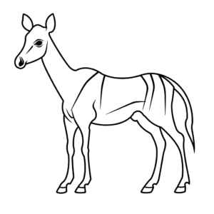 Dessin facile okapi