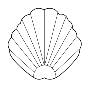 Dessin facile palourde