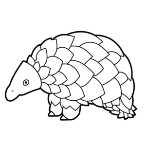 Dessin facile pangolin
