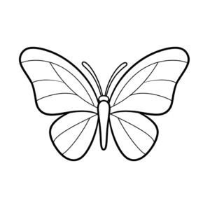 Dessin facile papillon
