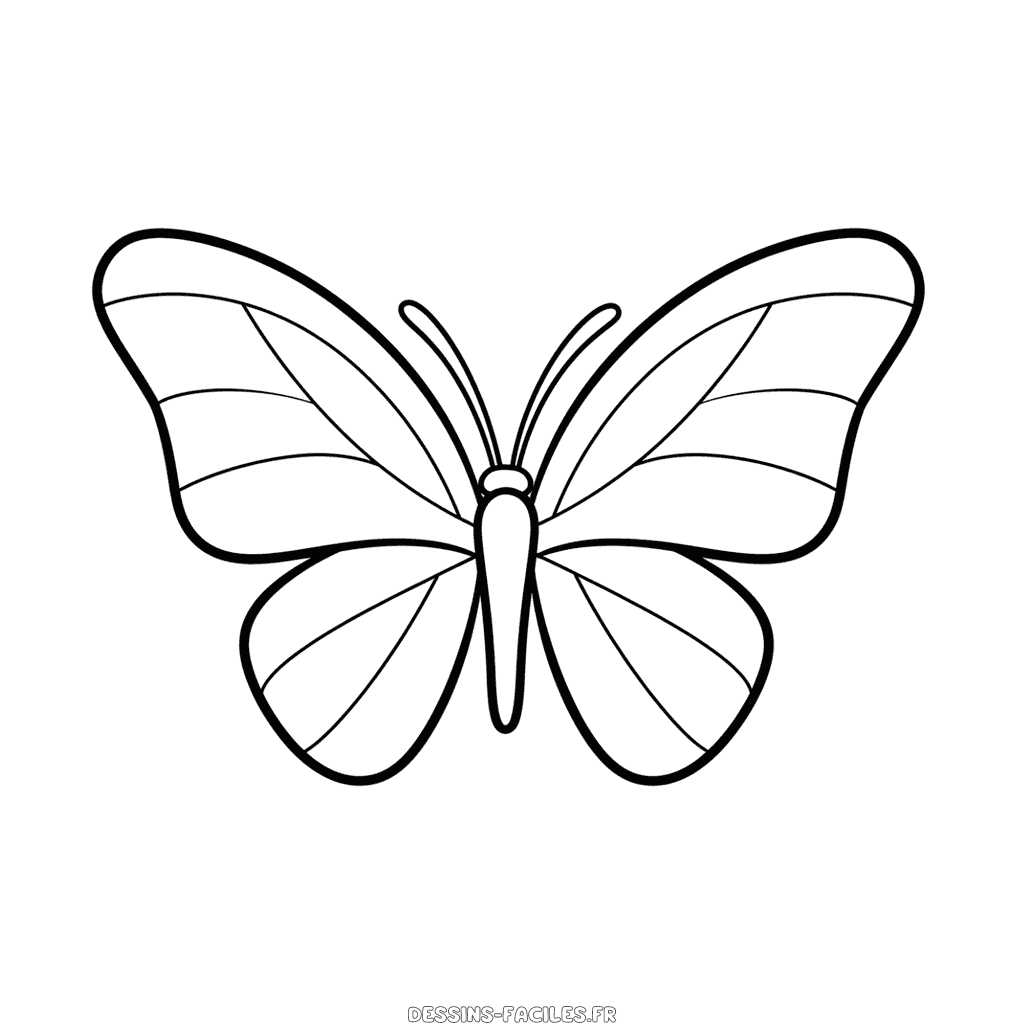 Dessin facile papillon