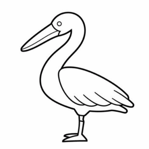 Dessin facile pélican