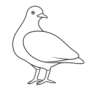 Dessin facile pigeon