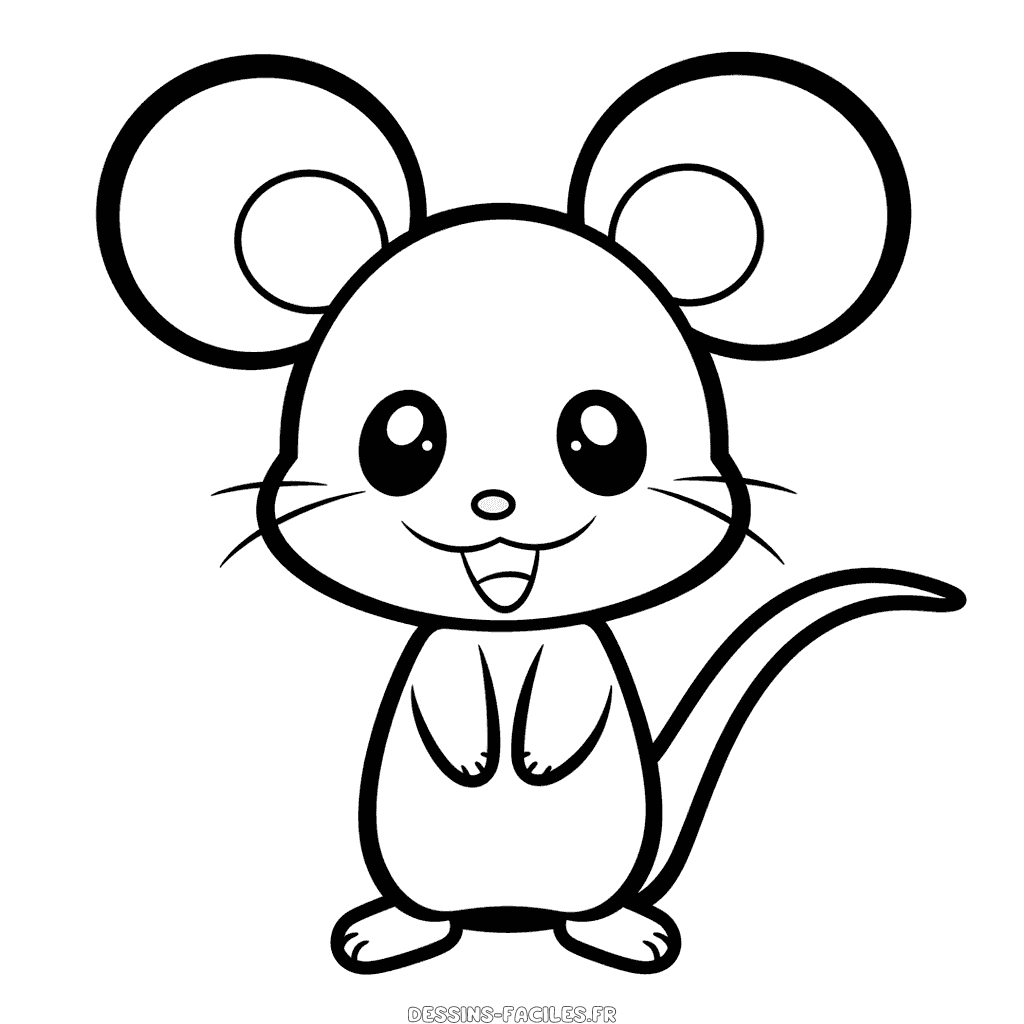 Dessin facile souris
