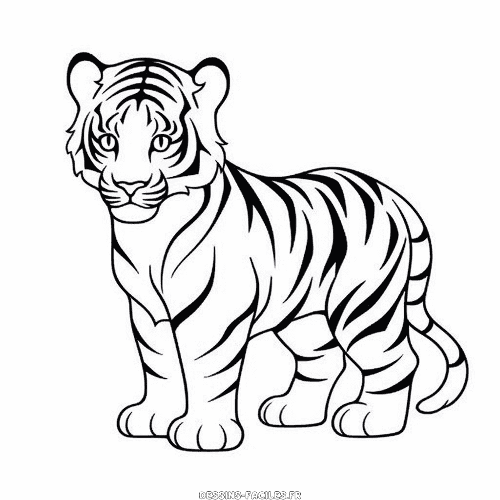 Dessin facile tigre