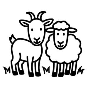 Dessin Facile de Chèvre et Mouton