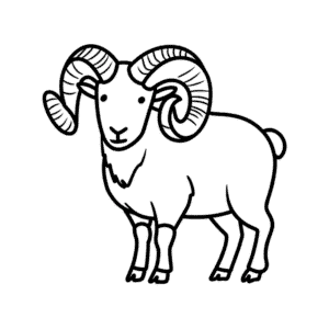 Dessin Facile de Mouton à Grandes Cornes