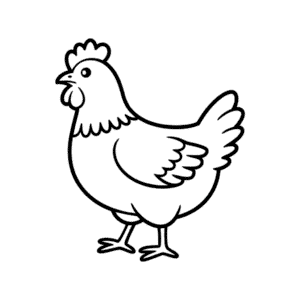 Dessin Facile de Poule en Noir et Blanc