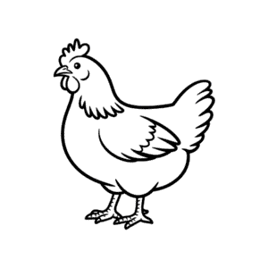 Dessin Facile Poule Sussex
