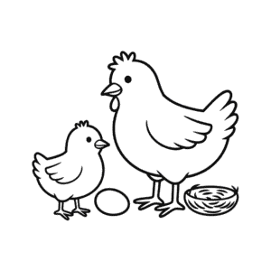 Poussin et Poule Dessin Facile