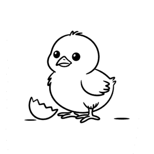Dessin Facile Adorable poussin bébé