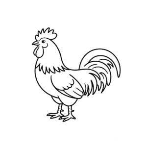 Dessin Facile Animal Coq
